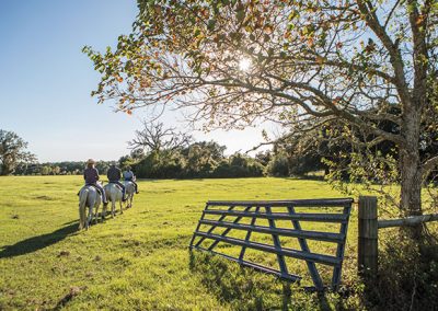 The Dudes Abide at These Three Historic Texas Ranches