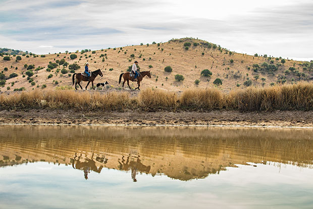 Horses along a lake at the Prude Ranch