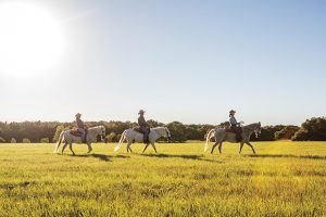 The Mythology of the Wild West Looms Large over Texas