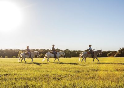 The Mythology of the Wild West Looms Large over Texas