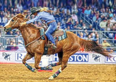 Houston Livestock Show and Rodeo