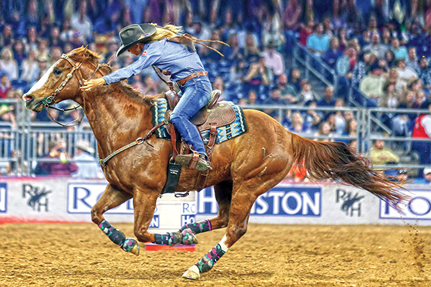 Rider at the Houston Rodeo
