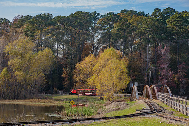 A train winds through the forest.