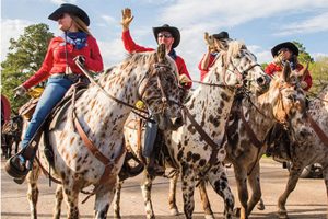 Historic Tales from the Largest Trail Ride in the World