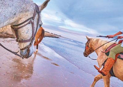 Where to Ride a Horse on the Beach in Matagorda