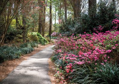 With Food, Drink, and History, Nacogdoches Offers More Than Beautiful Spring Azaleas