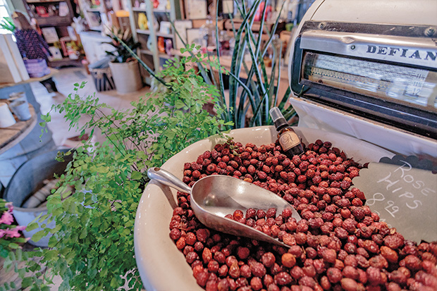 Garden Company rose hips for sale