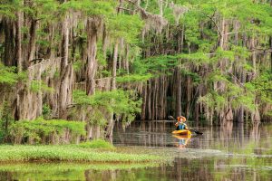 A Canoe Exploration of Caddo Lake’s Creatures and History