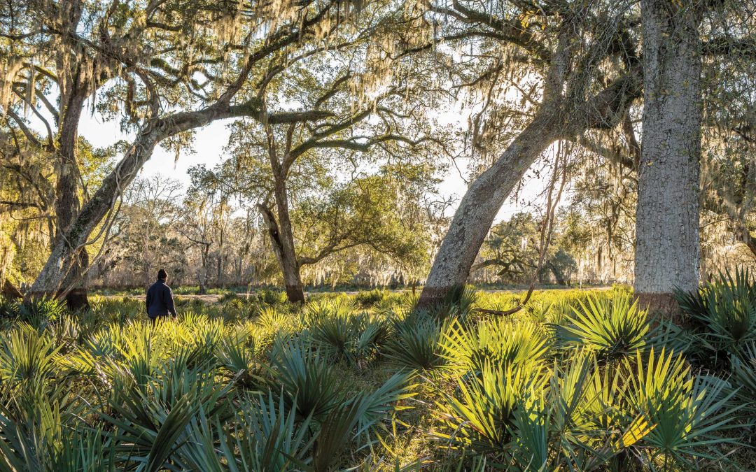 Editor’s Note: More Reasons to Get Outside this Spring