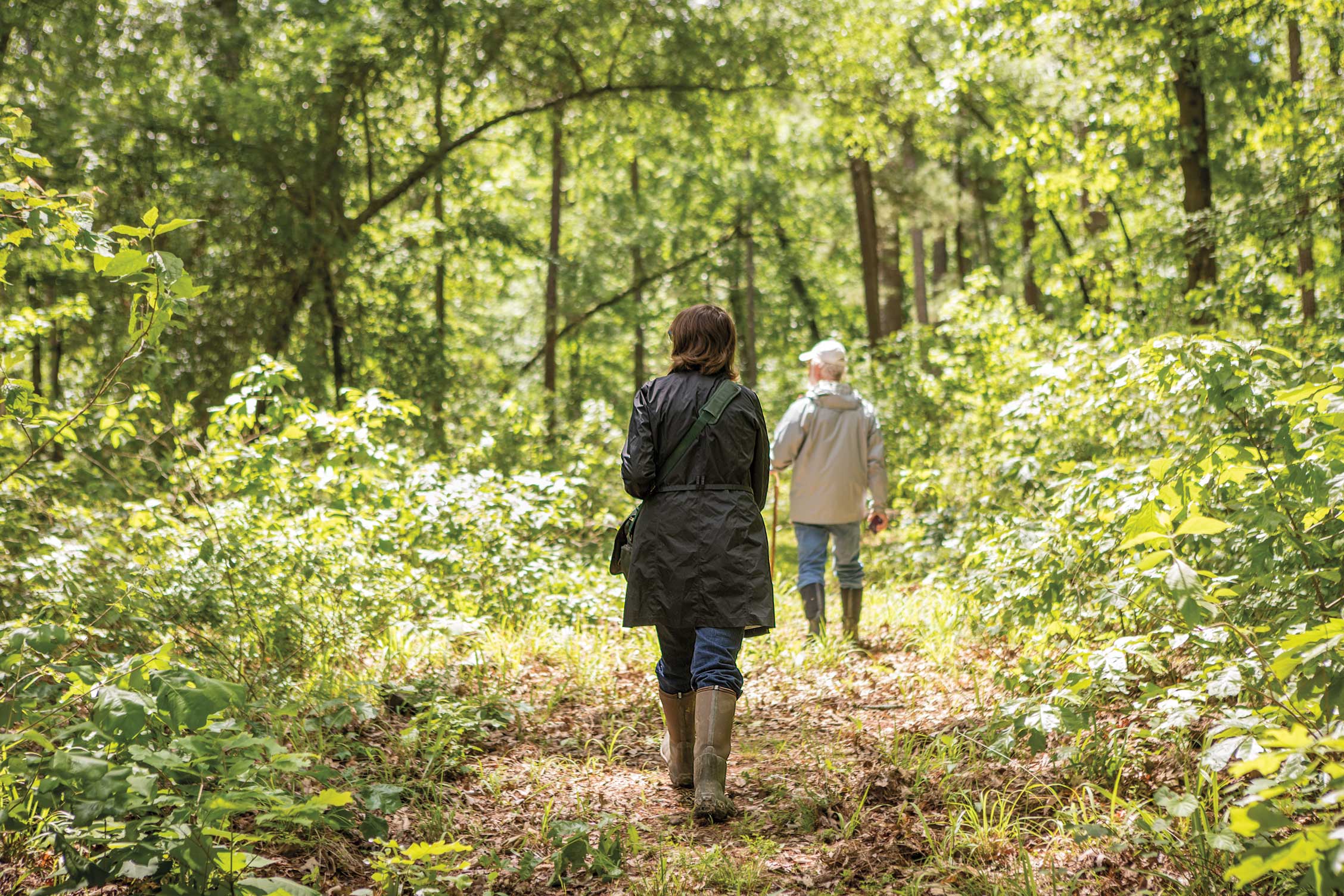 Hikers in the woods