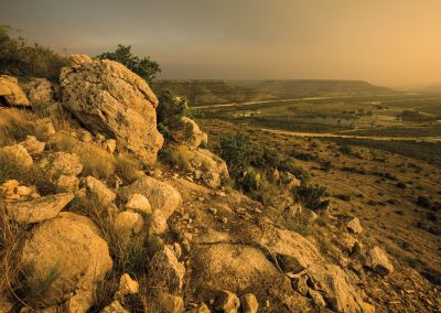 Don’t Miss Independence Creek Preserve’s First Open Weekend This Year