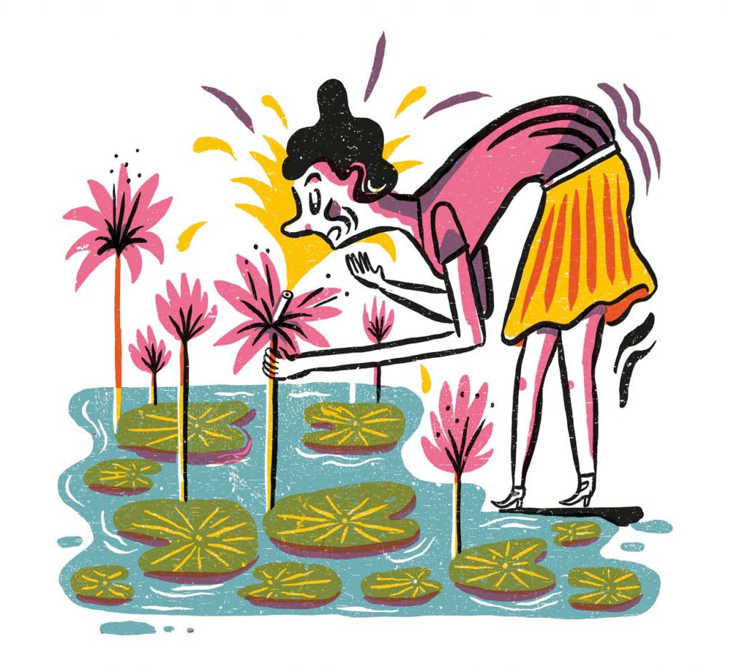 Water lilies illustration