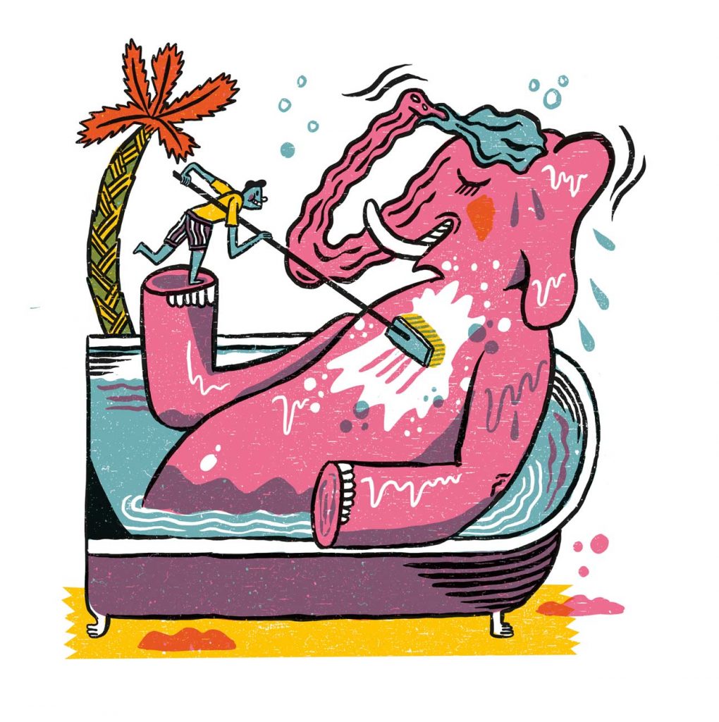 Illustration of an elephant in a bathtub