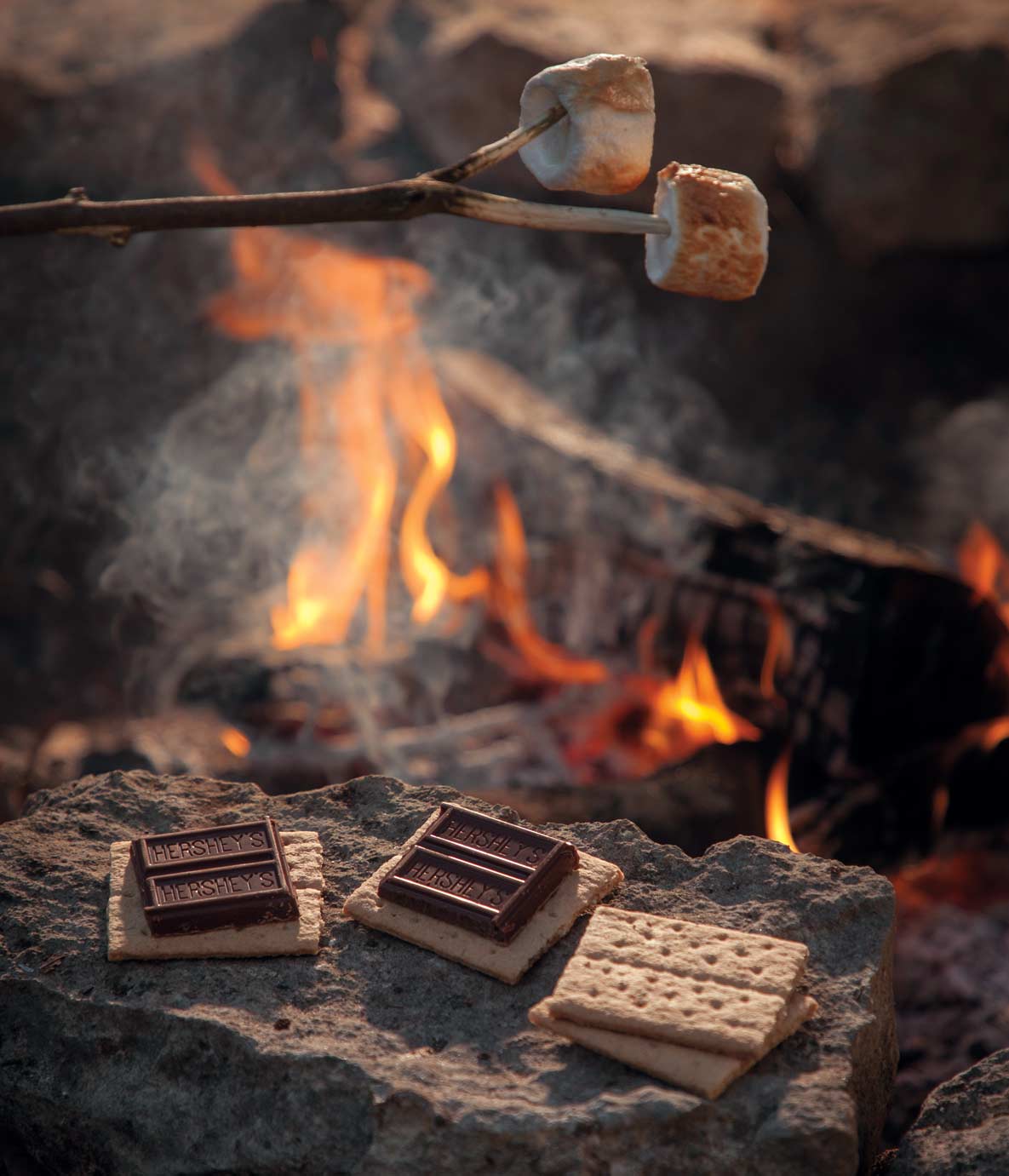 S'mores roasting by a campfire