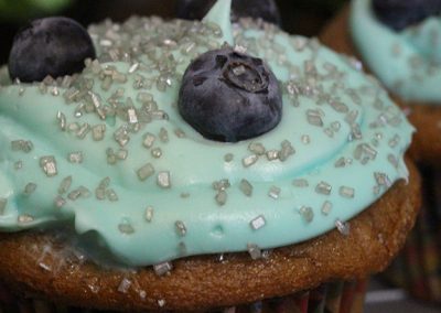 Texas Blueberry Festival