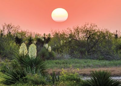 5 Texas Cities Where You Can Discover Your Inner Science Geek