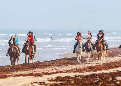 Explore South Padre Island with a Drive up State Park Road 100