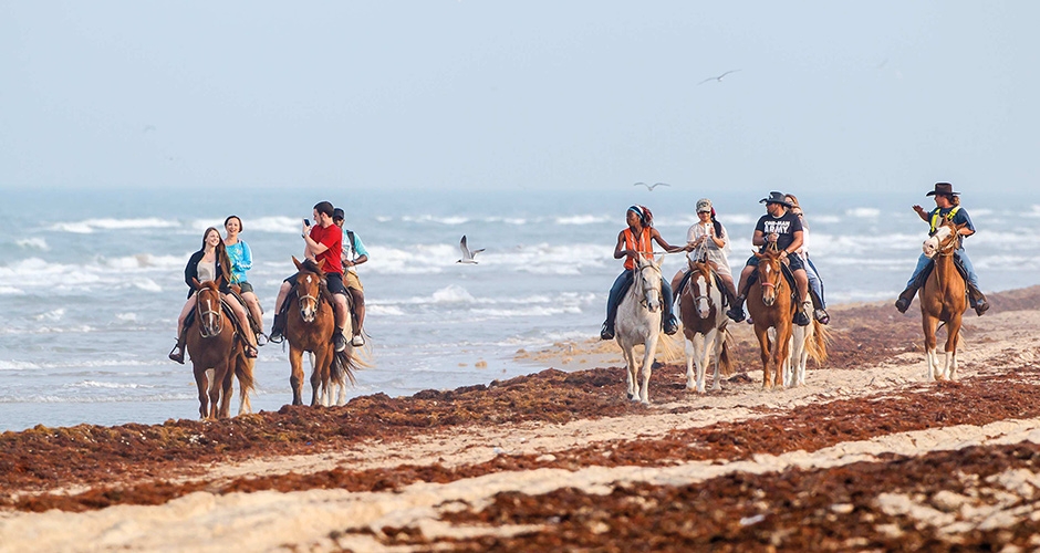 Explore South Padre Island with a Drive up State Park Road 100 - Texas  Highways