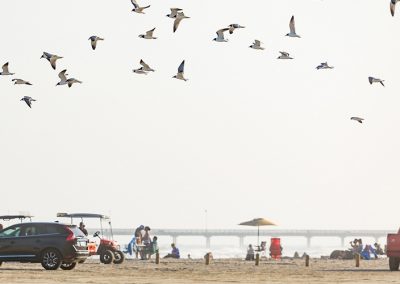 The Port Aransas Festival Season