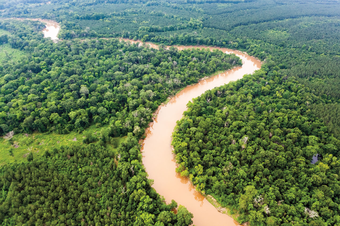Aerial view of the Sabine River cutting through the forest