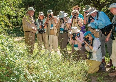 Texas Butterfly Festival