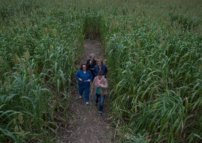 South Texas MAiZE