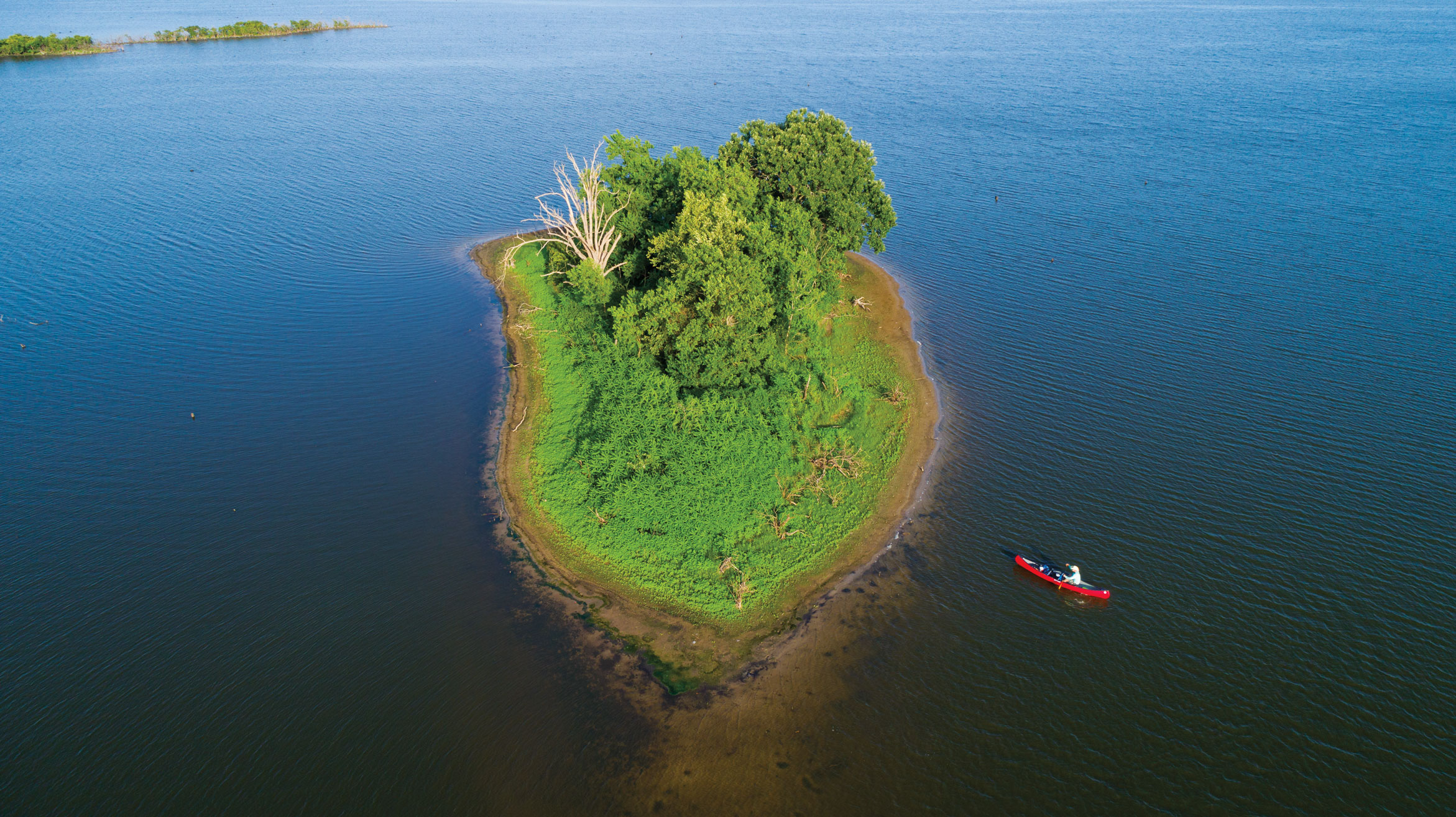 An island in Lake O' the Pines