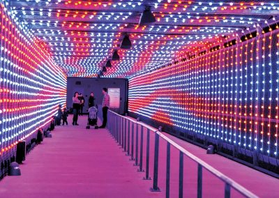 Explore a Winter Wonderland at Circuit of the Americas