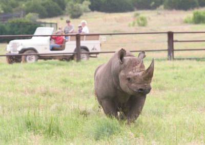 Things To Do in Texas This Weekend: Jan. 4-6