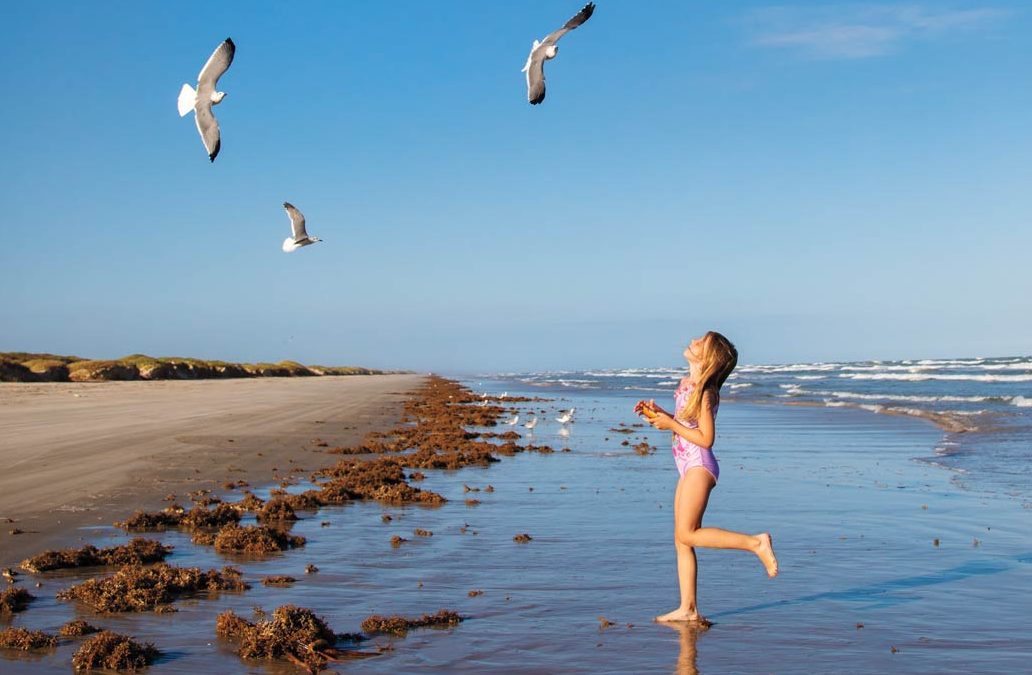 12 Texas Trips for 2019