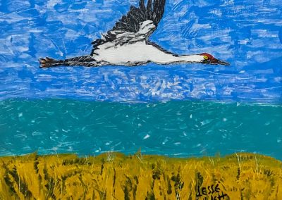 A Cancer Survivor on the Healing Nature of Birds