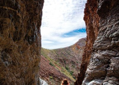 Where to Find 4 Hidden Gems off Big Bend’s Beaten Path