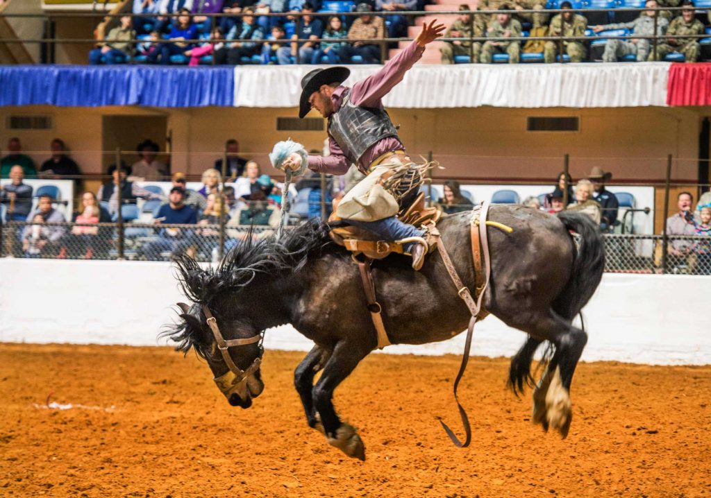 Things To Do in Texas This Weekend: Jan. 18-21