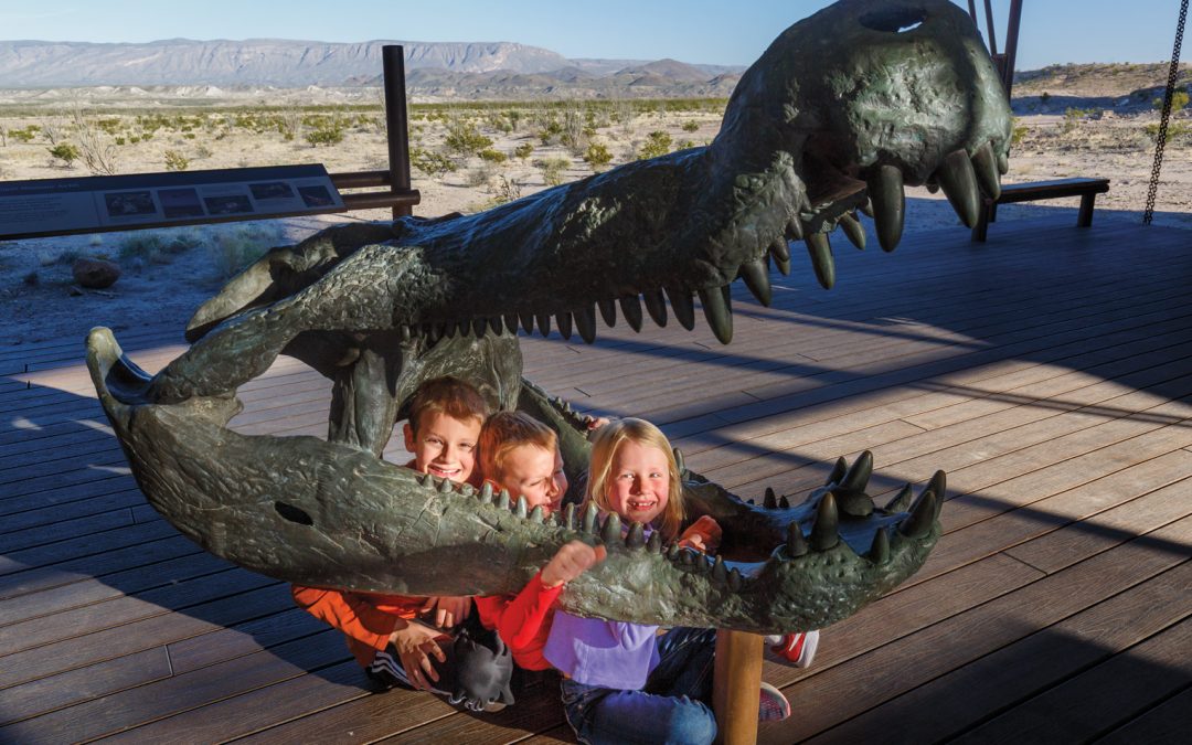 Ditch the Survival Skills With These 3 Easy Ways to Explore Big Bend National Park
