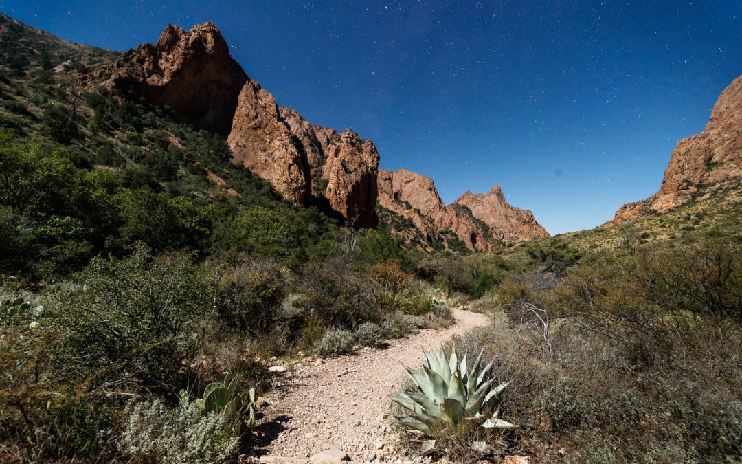 Best of the Rest: Big Bend for Everyone Photo Gallery