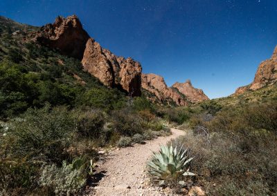 Best of the Rest: Big Bend for Everyone Photo Gallery