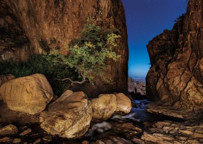 Photographer Sean Fitzgerald on the Secrets of Capturing Big Bend’s Majesty