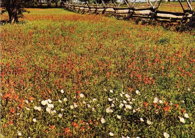 Texas Highways Magazine Celebrates 45 Years of Traveling Texas