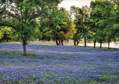 In Ennis, Wildflowers Beckon Weekenders in Pursuit of Small-Town Charm