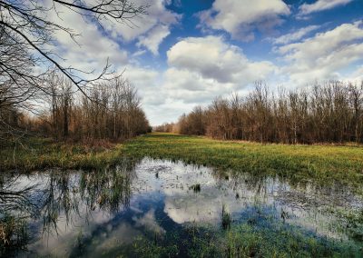 Hike, Fish, and Play—but Watch Out for Bigfoot—at the Mineola Nature Preserve