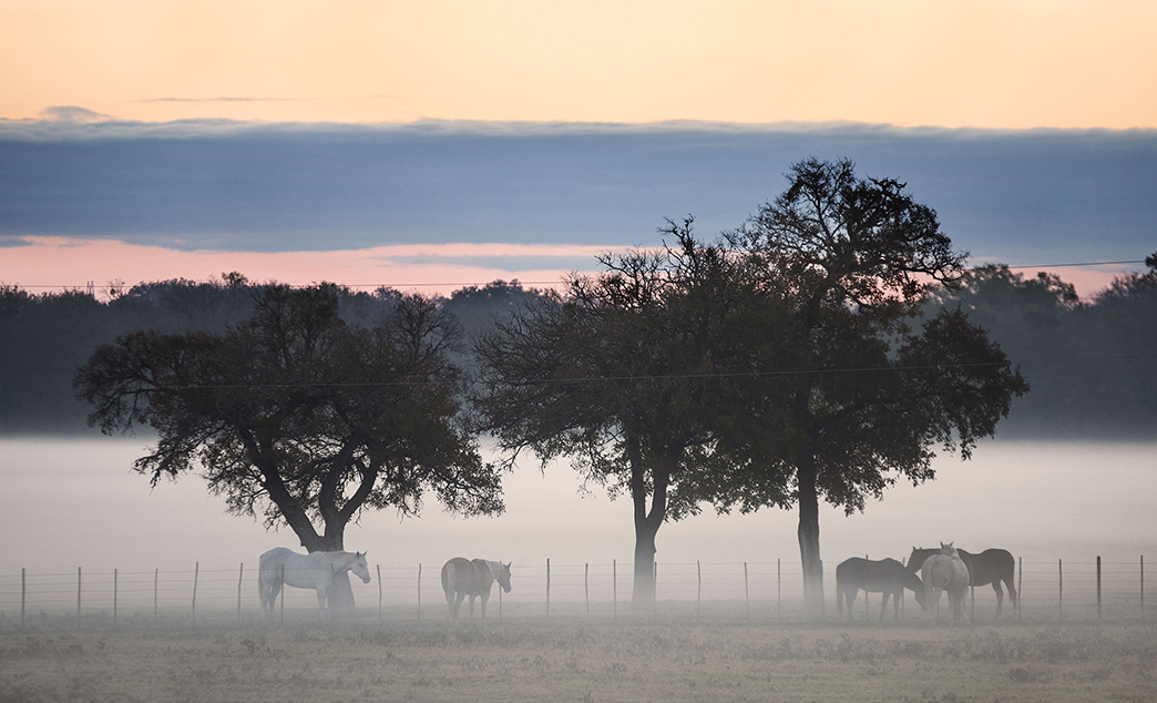 Photographer Captures the Evening Light of Texas’ Blackland Prairie