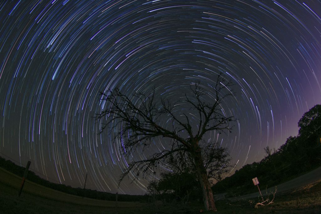 Things To Do in Texas This Weekend: March 29-31