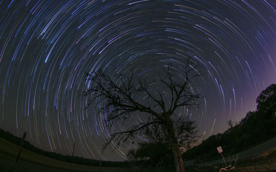 Things To Do in Texas This Weekend: March 29-31