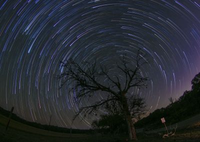 Things To Do in Texas This Weekend: March 29-31