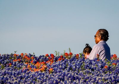 Prime Conditions Foster Wildflower Super Bloom in Texas