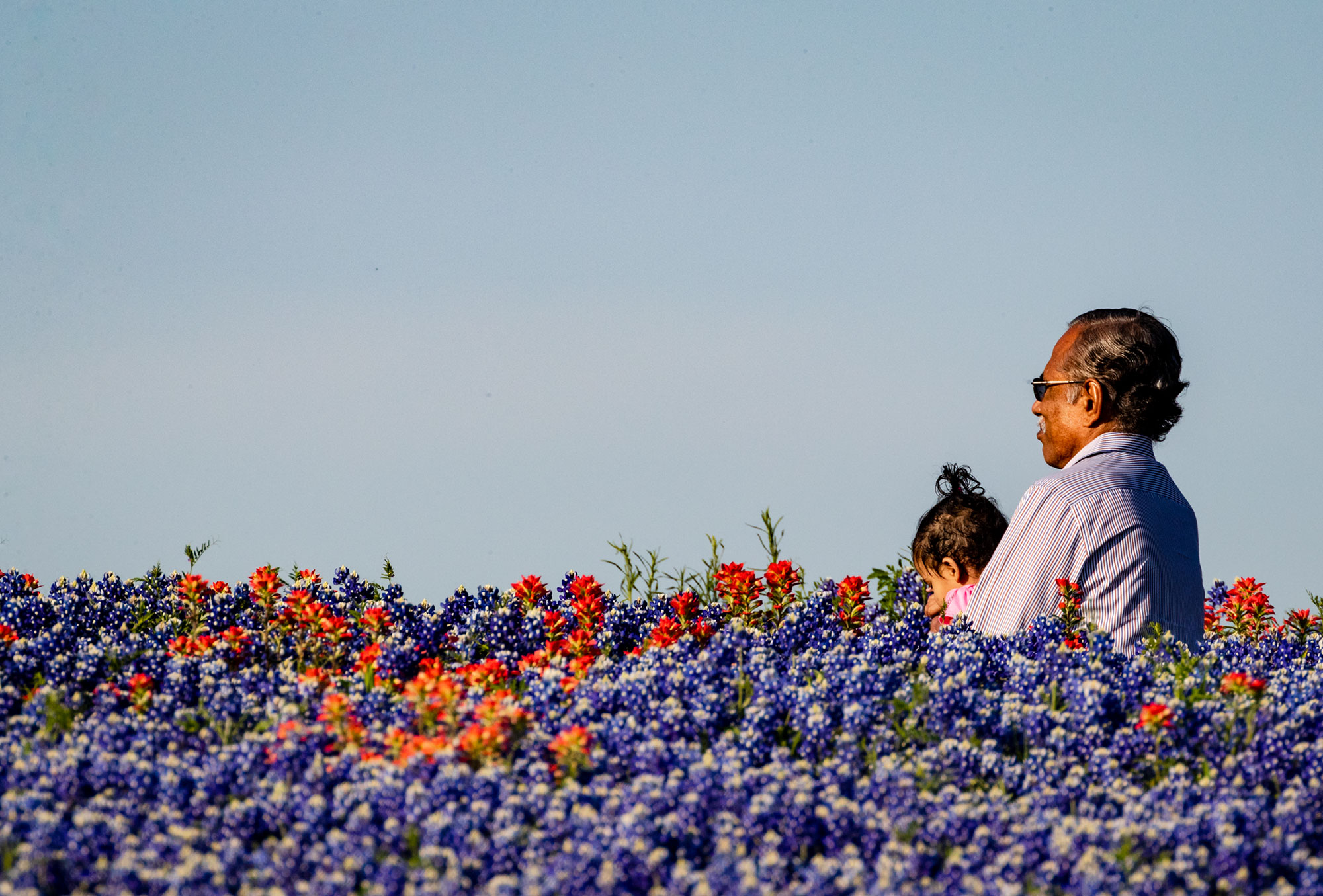 Man and girls in field of Indian paintbrush (Castilleja indivisa) and bluebonnets (Lupinus texensis), Ennis, Texas. Photo: Sean Fitzgerald