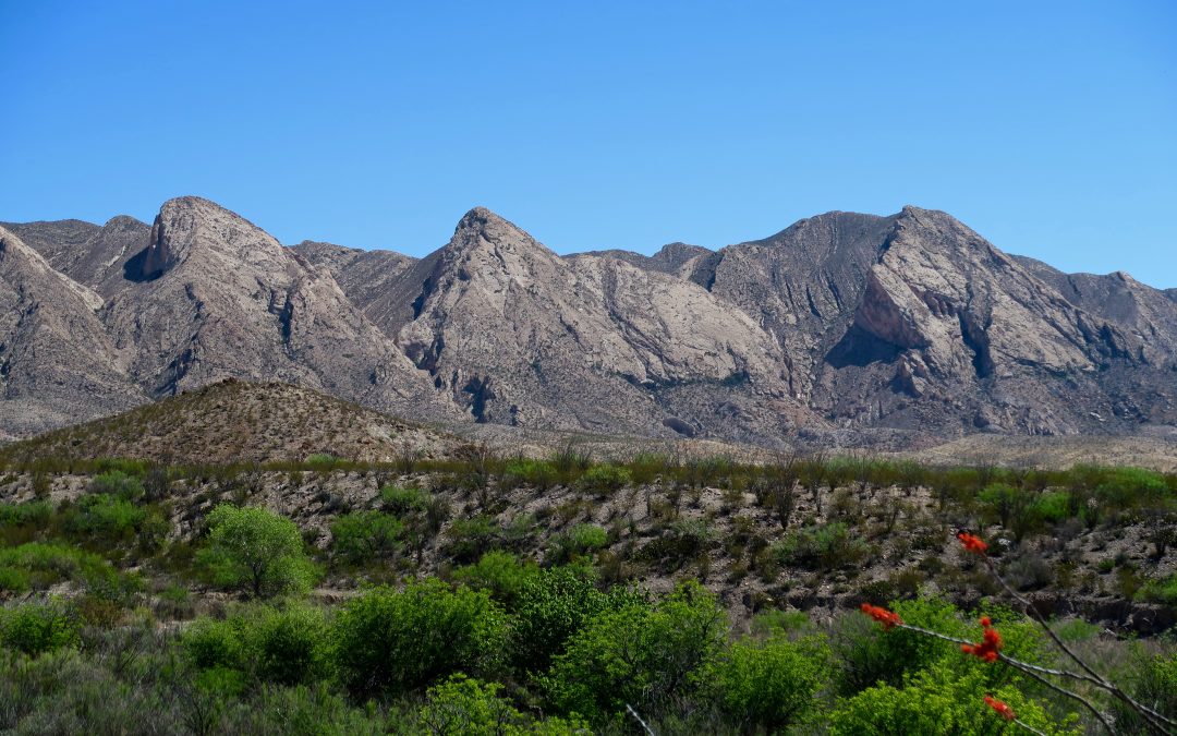 Explore A Collapsed Volcanic Dome in Big Bend Ranch State Park