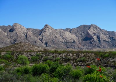 Explore A Collapsed Volcanic Dome in Big Bend Ranch State Park