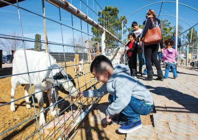 The Licon Family Has Been Making Asadero Cheese in San Elizario for Four Generations