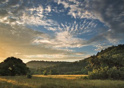 One Man’s Half-Century Project to Heal a Hill Country Landscape